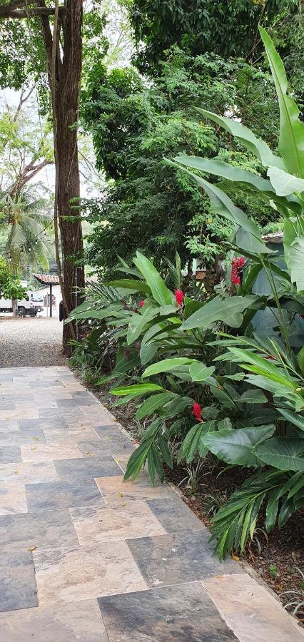Tucan Hotel Uvita Luaran gambar