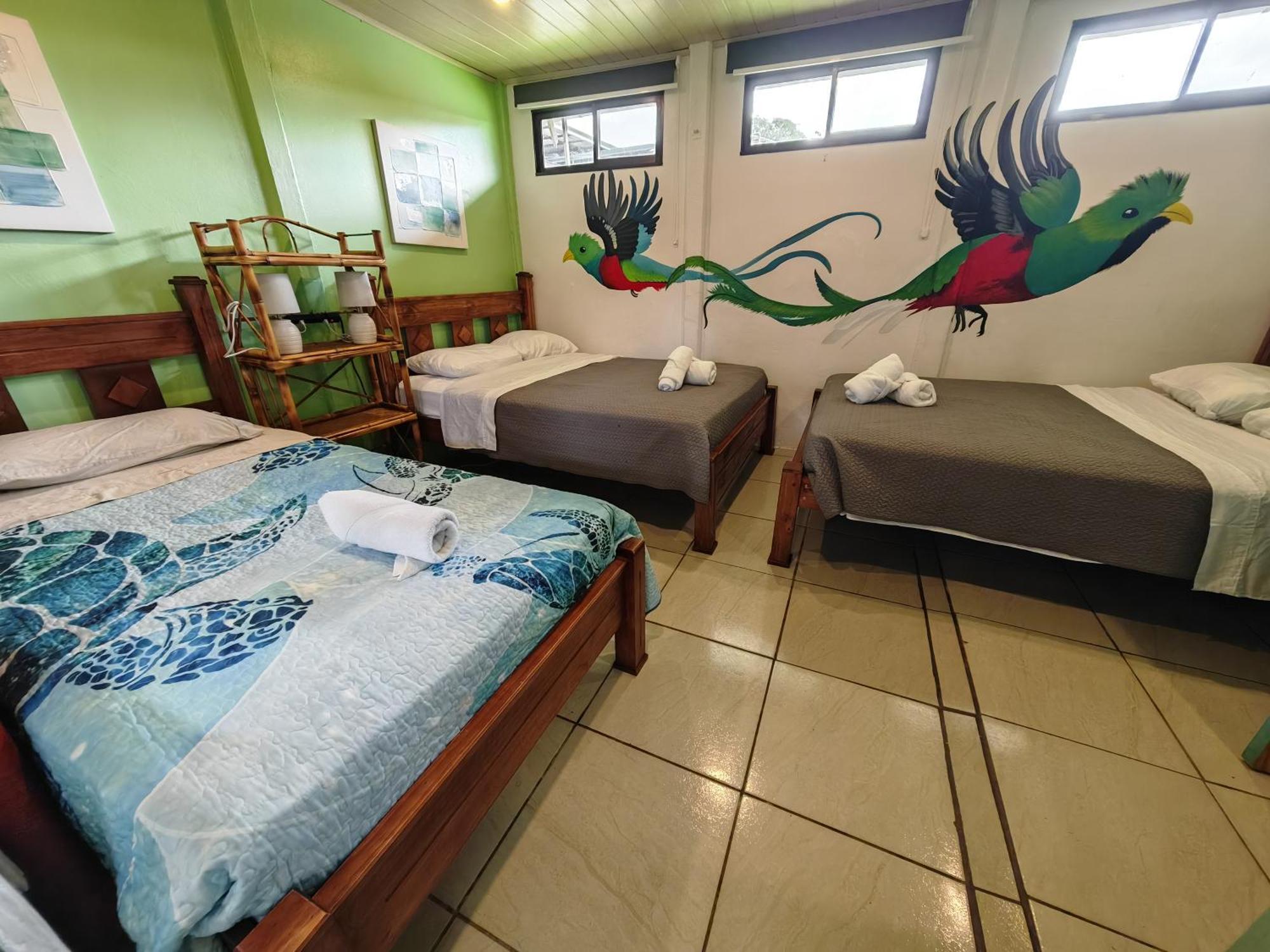 Tucan Hotel Uvita Bilik gambar