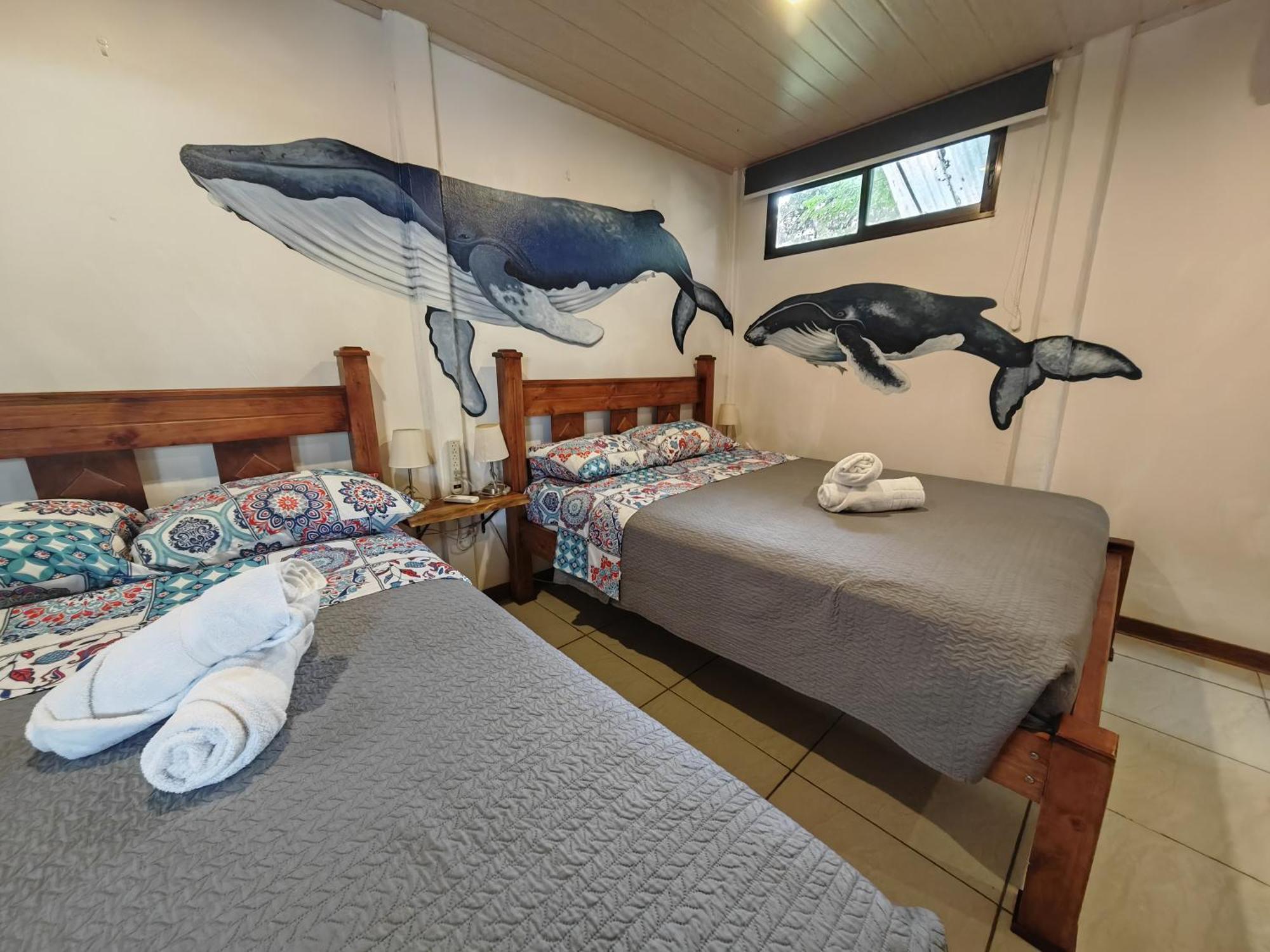 Tucan Hotel Uvita Bilik gambar