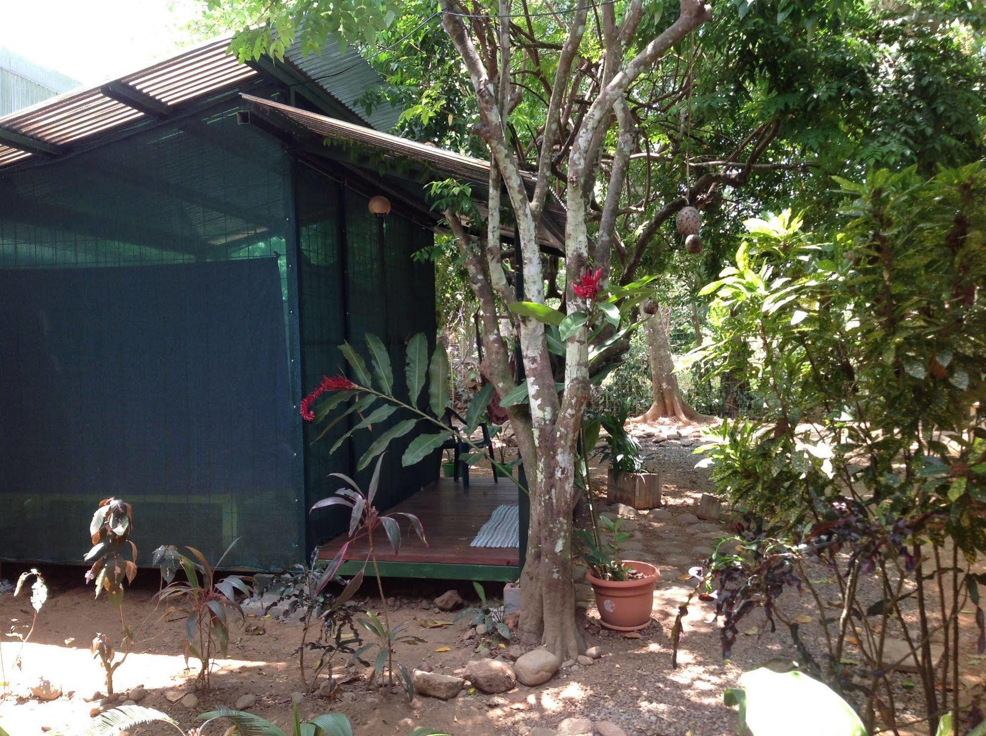 Tucan Hotel Uvita Luaran gambar